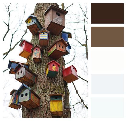 Bird Houses Handicraft Forest Image